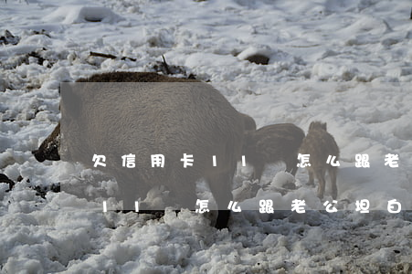 欠信用卡11萬怎么跟老公坦白-欠信用卡11萬怎么跟老公坦白不還