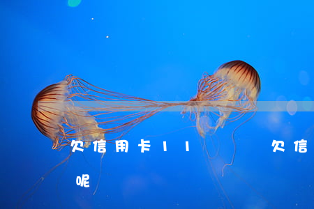 欠信用卡11萬沒還(欠信用卡11萬怎么辦呢)