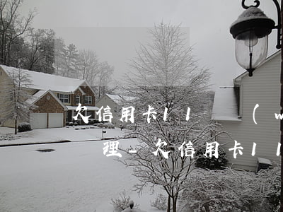 欠信用卡11萬網(wǎng)貸4萬怎么處理-欠信用卡11萬網(wǎng)貸4萬怎么處理的