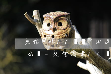 欠信用卡11萬網(wǎng)貸4萬會怎么樣-欠信用卡11萬怎么上岸