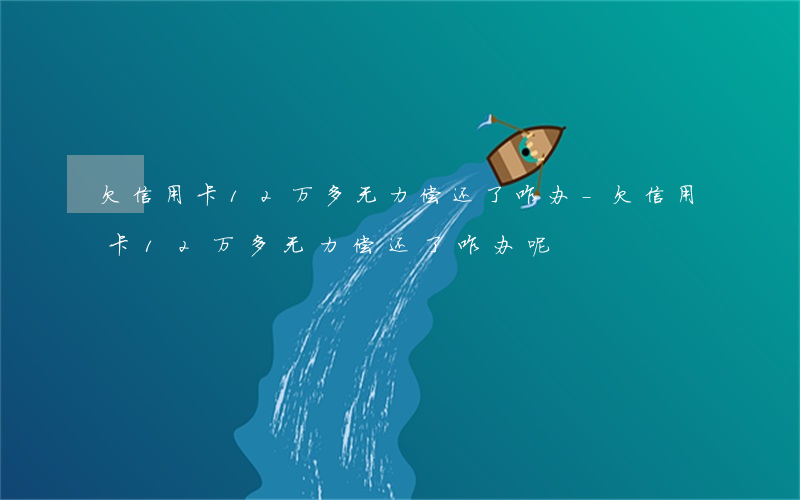 欠信用卡12万多无力偿还了咋办-欠信用卡12万多无力偿还了咋办呢