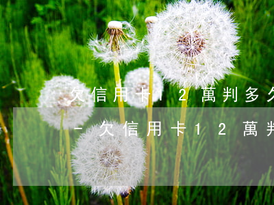 欠信用卡12萬判多久會(huì)被起訴-欠信用卡12萬判多久會(huì)被起訴呢
