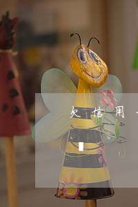 欠信用卡12萬被追逃(欠信用卡12萬怎么辦)