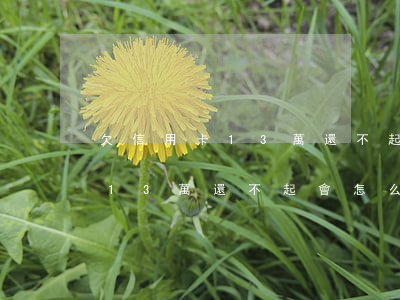 欠信用卡13萬還不起會怎么樣-欠信用卡13萬還不起會怎么樣呢