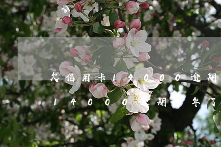 欠信用卡14000逾期一年了-欠信用卡14000逾期一年了会怎么样