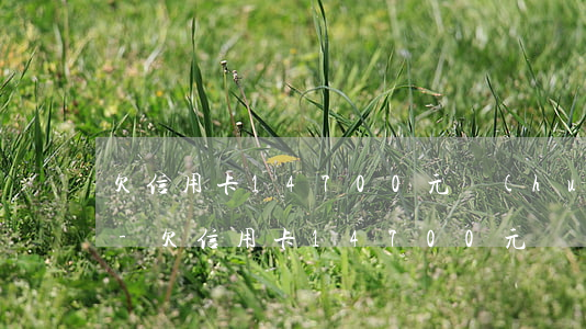 欠信用卡14700元會(huì)上訴嗎-欠信用卡14700元會(huì)上訴嗎