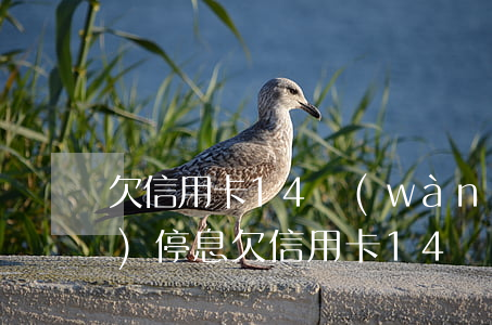 欠信用卡14萬(wàn)申請(qǐng)停息 欠信用卡14萬(wàn)無(wú)力償還怎么辦