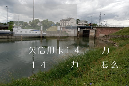 欠信用卡14萬無力償還怎么辦-欠信用卡14萬無力償還怎么辦呢