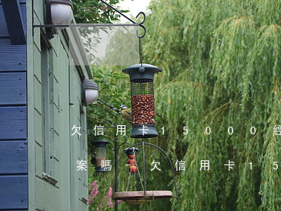 欠信用卡15000經(jīng)偵能立案嗎-欠信用卡15000經(jīng)偵能立案嗎知乎