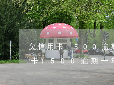 欠信用卡1500逾期一年怎么還-欠信用卡1500逾期一年怎么還款