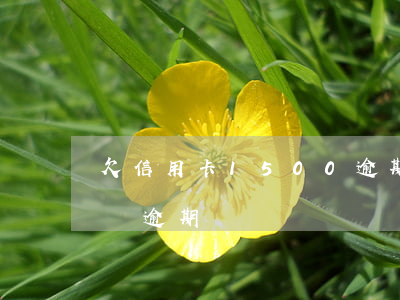 欠信用卡1500逾期三年（欠信用卡幾千塊錢逾期）