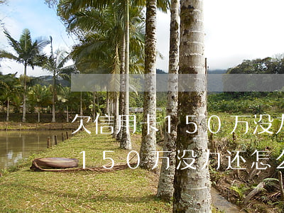 欠信用卡150万没力还怎么办-欠信用卡150万没力还怎么办呢