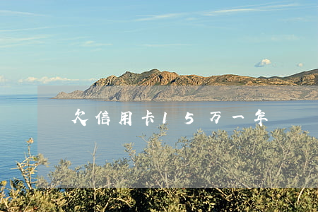 欠信用卡15万一年