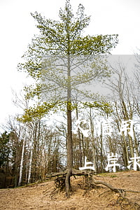 欠信用卡15万会怎样(欠信用卡15万怎么上岸求支招)