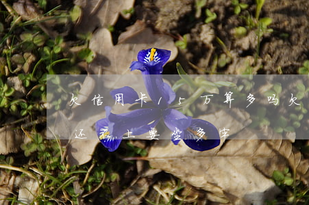 欠信用卡15万算多吗(欠银行信用卡15万还不上要坐多牢)