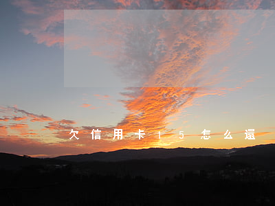 欠信用卡15怎么還
