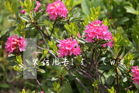 欠信用卡15萬(wàn)幾年了