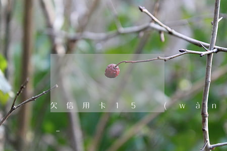 欠信用卡15萬(wàn)逾期一年怎么還-