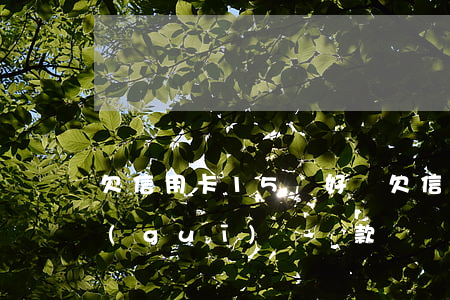 欠信用卡15萬 好煩(欠信用卡15萬怎么規(guī)劃還款)