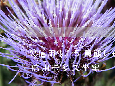 欠信用卡15萬態(tài)度好(欠15萬信用卡多久坐牢)