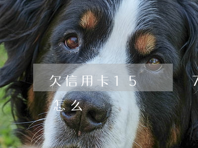 欠信用卡15萬車貸7萬(欠了信用卡15萬怎么辦)