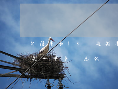 欠信用卡15萬逾期半年(信用卡欠款五萬逾期一年多會怎么樣)