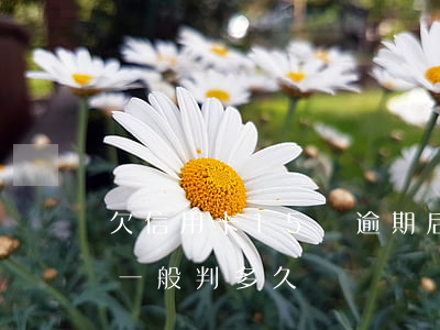 欠信用卡15萬逾期后果(信用卡逾期15萬一般判多久)