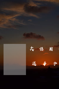 欠信用卡16万的卡奴（信用卡欠16万每月还多少）