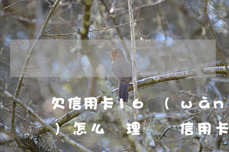 欠信用卡16萬(wàn)銀行會(huì)怎么處理（單張信用卡欠17萬(wàn)）