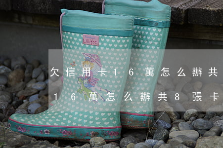 欠信用卡16萬怎么辦共8張卡-欠信用卡16萬怎么辦共8張卡呢