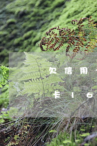 欠信用卡16萬網貸10萬怎么辦-欠信用卡16萬網貸10萬怎么辦呢