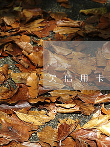 欠信用卡1700逾期3個月