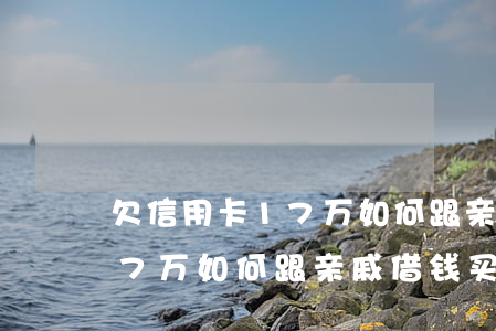 欠信用卡17万如何跟亲戚借钱(欠信用卡17万如何跟亲戚借钱买房)