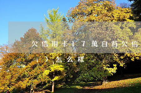 欠信用卡17萬自首(欠信用卡自首會(huì)怎么樣)