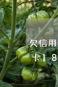 欠信用卡18萬(wàn)逾期怎么辦(信用卡18萬(wàn)逾期2年)