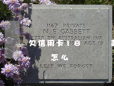 欠信用卡18萬沒還款-欠信用卡十幾萬沒錢還怎么辦