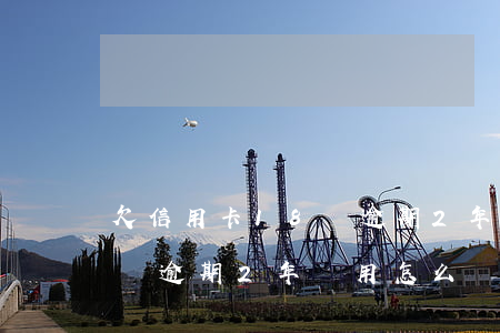 欠信用卡18萬逾期2年費用(欠信用卡18萬逾期2年費用怎么辦)