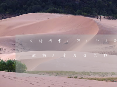 欠信用卡1万3个月没还了（1万5的信用卡逾期3个月会怎样）