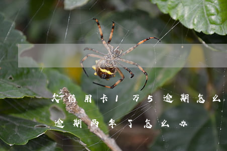 欠信用卡1万5逾期怎么解决(一万五信用卡逾期两年了怎么办)