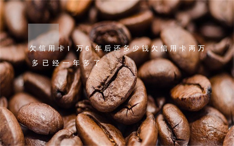 欠信用卡1万6年后还多少钱(欠信用卡两万多,已经一年多了)