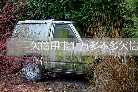 欠信用卡1万多不多 欠信用卡1万多会坐牢吗?