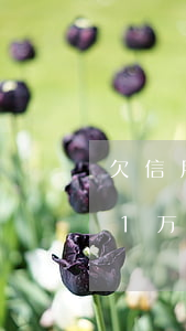 欠信用卡1万逾期半年会抓人吗-欠信用卡1万逾期半年会抓人吗知乎