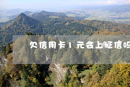欠信用卡1元会上征信吗（欠信用卡1块钱）