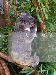 欠信用卡1元要還嗎(欠信用卡1元要還嗎)