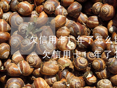 欠信用卡1年了怎么協(xié)商還本金-欠信用卡1年了怎么協(xié)商還本金呢