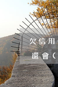 欠信用卡1萬(wàn)一年沒(méi)還會(huì)怎么樣-欠信用卡1萬(wàn)一年沒(méi)還會(huì)怎么樣呢