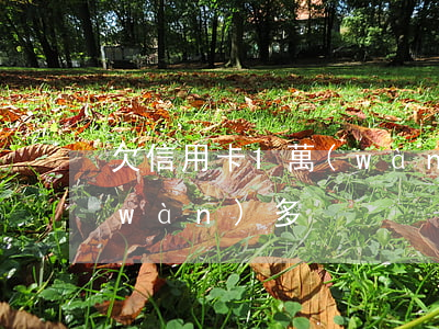 欠信用卡1萬(wàn)六(欠信用卡一萬(wàn)多)