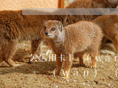 欠信用卡1萬(wàn)多怎么辦(欠信用卡一萬(wàn)會(huì)立案嗎)