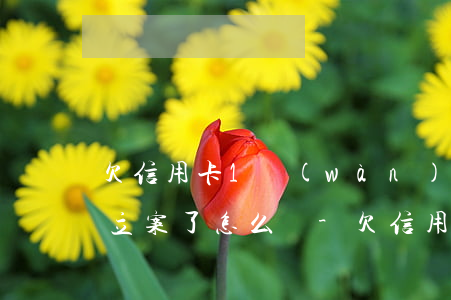 欠信用卡1萬(wàn)已經(jīng)立案了怎么辦-欠信用卡1萬(wàn)已經(jīng)立案了怎么辦呢