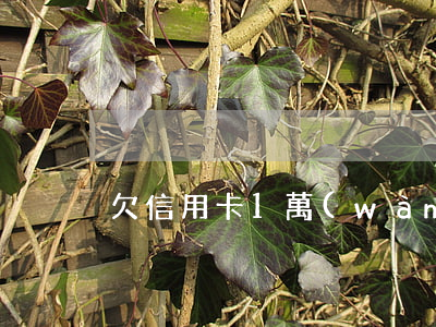 欠信用卡1萬(wàn)怎么上岸